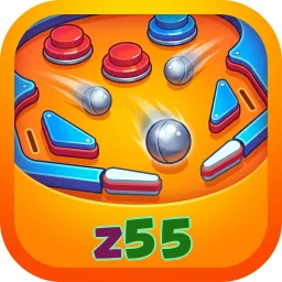 z55